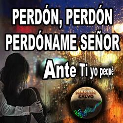 Perdón perdón perdóname Señor