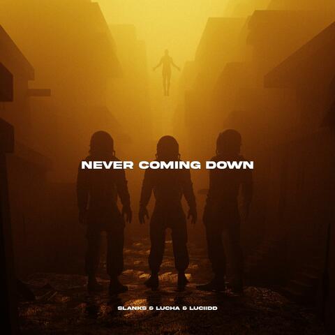 Never Coming Down