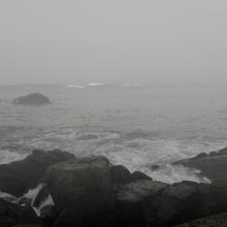 Drowning in a Sea of Dreams