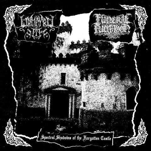 Spectral Shadows of the Forgotten Castle