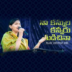 Naa Kannula Kanneeru (feat. Jessy Paul)