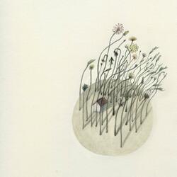 El Esperado Desenlace