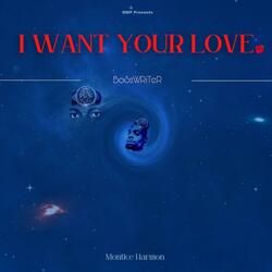 I Want Your Love