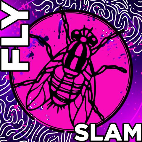Shy Fly Slam #1343