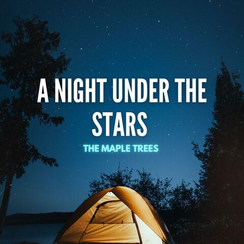 A Night Under The Stars