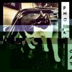 PHONKY CAT