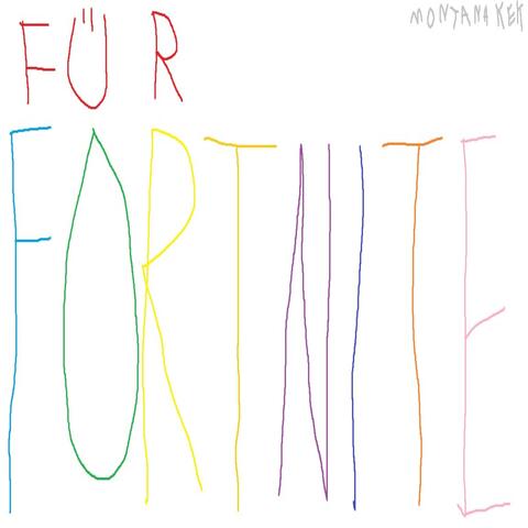 FÜR FORTNITE!