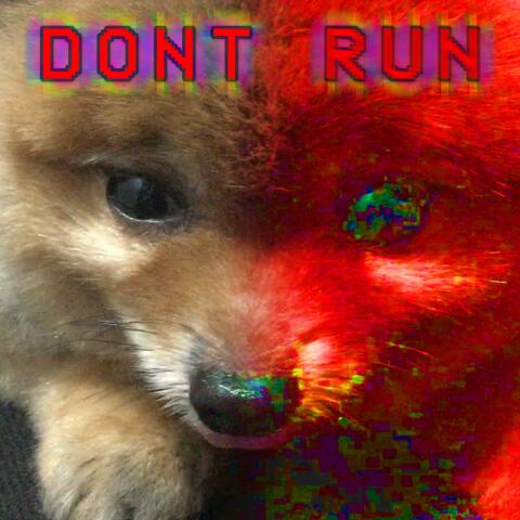 Don't Run!