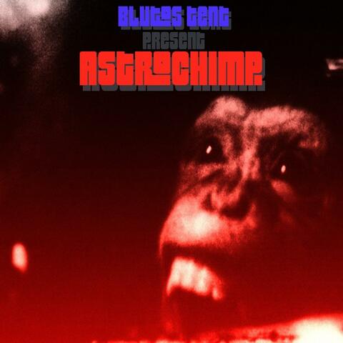 AstroChimp