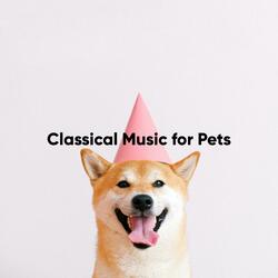 Liebestraum No. 3 in A Flat Major, S. 541: Love Dream