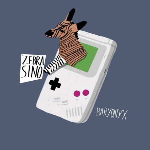 Zebrasino