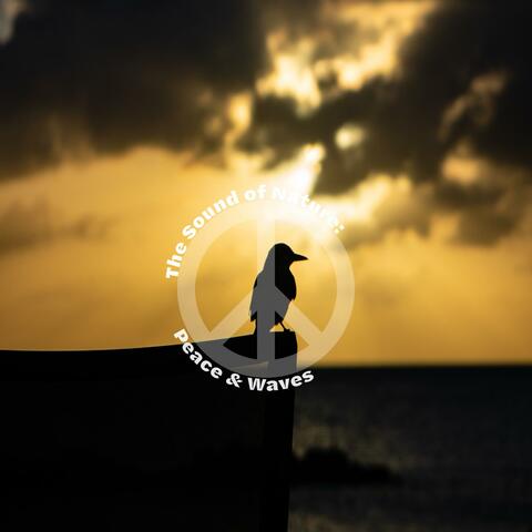 The Sound of Nature: Peace & Waves