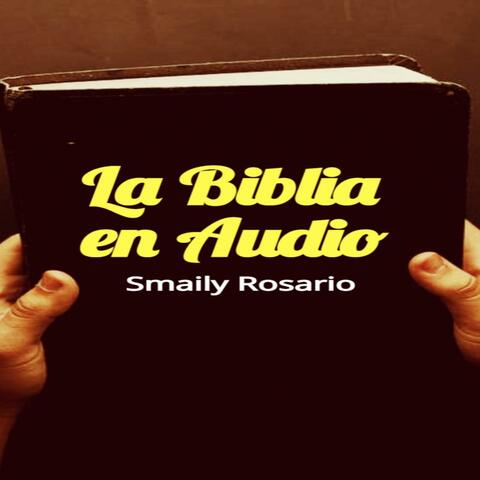 La Biblia en Audio