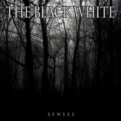 Senses