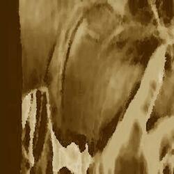Misshapen Identity