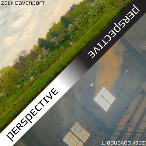 Perspective