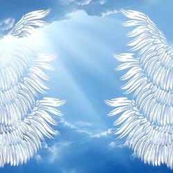 Angel Wings