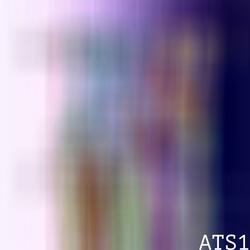 ATS1 (Excerpt)