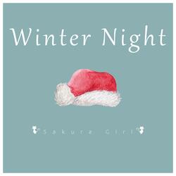 Winter Night