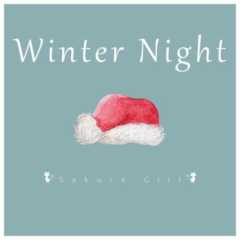 Winter Night