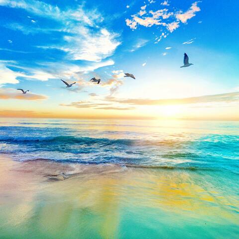 Soft Ocean Waves Relaxing Zen Nature Sounds