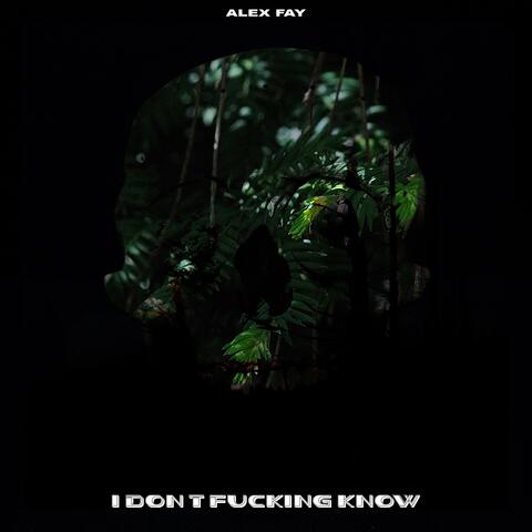 I Dont Fucking Know