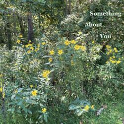 Something About You