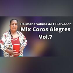 Mix Coros Alegres, Vol.7