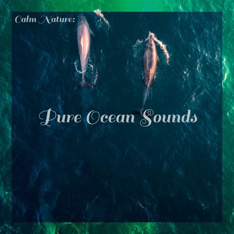 Calm Nature: Pure Ocean Sounds
