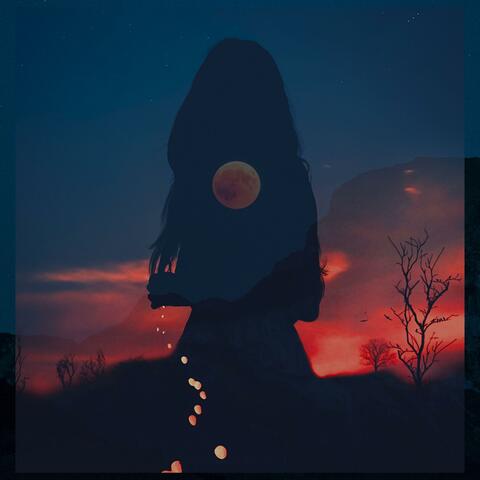 Middle Of The Night