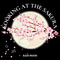 Looking at the SAKURA