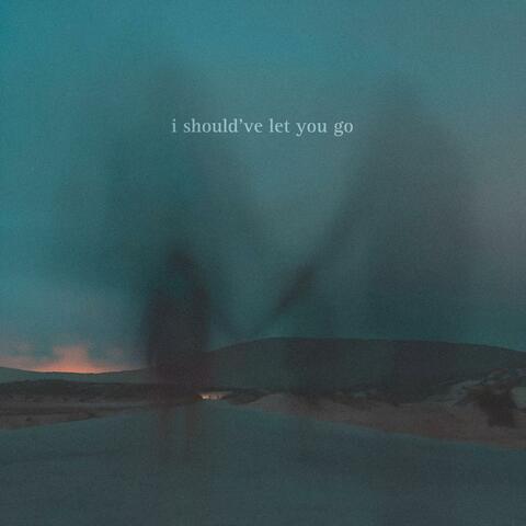i should've let you go