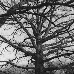 Where Winter finds no Meaning for Feelings {Enters}