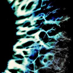 Nihilistic Tendencies