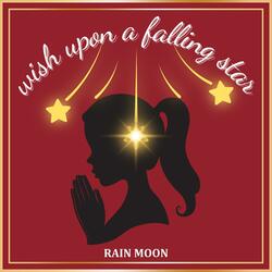 Wish Upon A Falling Star