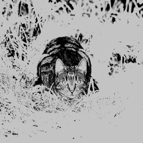 Prowl