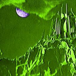 a night at overlook hotel (sped up)