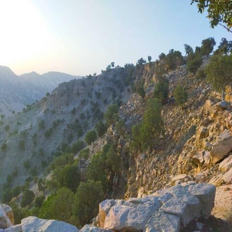 For existence / eternity