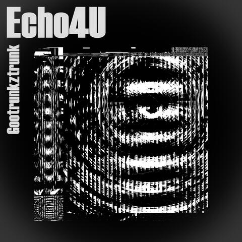 Echo4U