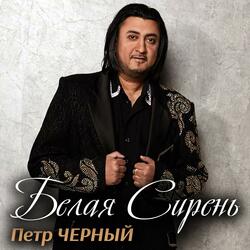Киевские ночи