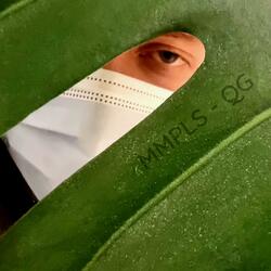 Quarantine Guaranteed