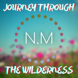 Journey Through the Wilderness (with Noah Millar, Katze, Key Lime Canid, Salad, Hex & Warheads)