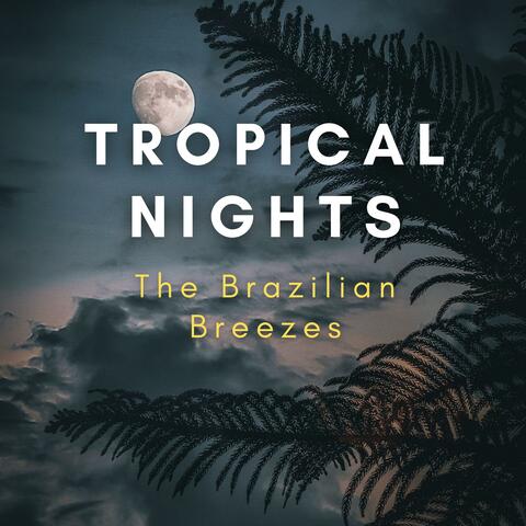 Tropical Nights