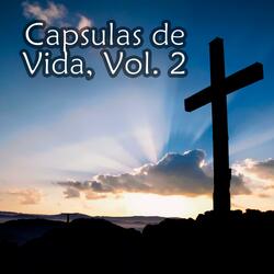 Capsula de Vida No XXVIII