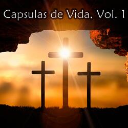 Capsula de Vida No XIII