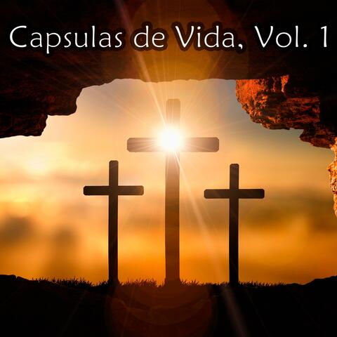Capsulas de Vida, Vol. 1