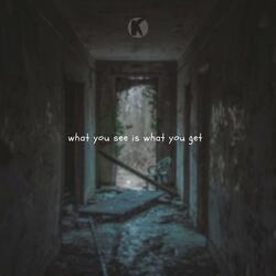 what you see is what you get