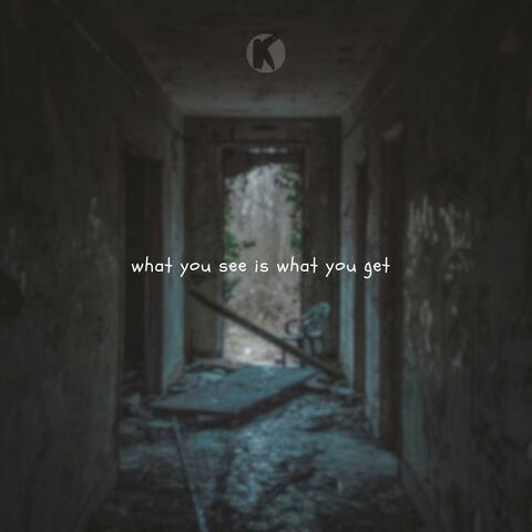 what you see is what you get
