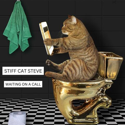 Waiting On A Call