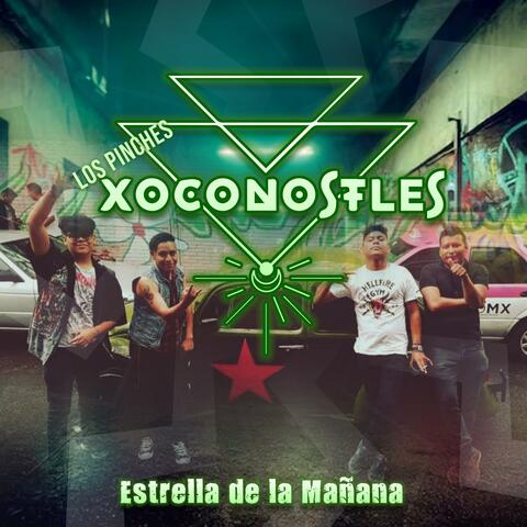 ESTRELLA DE LA MAÑANA